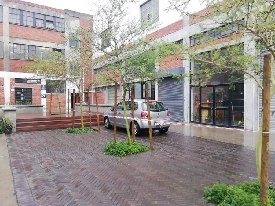To Let 0 Bedroom Property for Rent in Salt River Western Cape